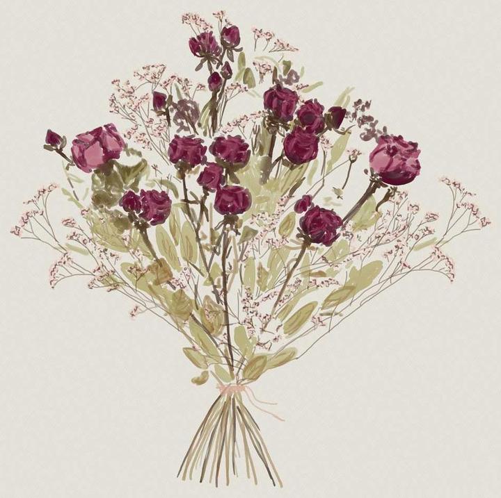 Produktbild VEG and the City Trockenblumen (Trockenblumen)