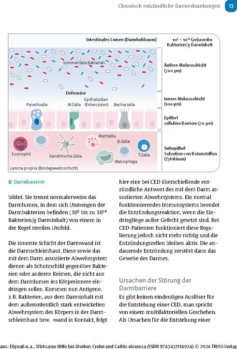 Produktbild Wirksame Hilfe bei Morbus Crohn und Colitis ulcerosa (Deutsch, Jürgen-Michael Stein, Axel Dignass, Franz Hartmann, 2024)