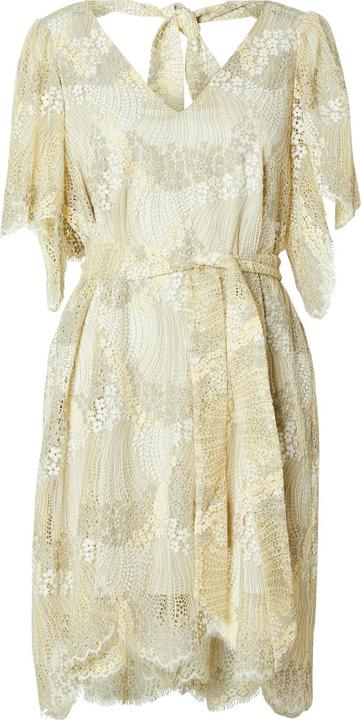 Image du produit Selected Femme Mini-robe en dentelle (40)