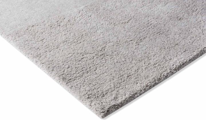 Immagine prodotto Brink & Campman Decorazione (200 x 280 cm)
