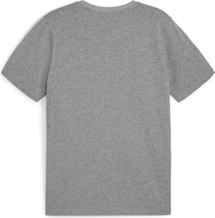Puma teamGOAL Casuals Tee