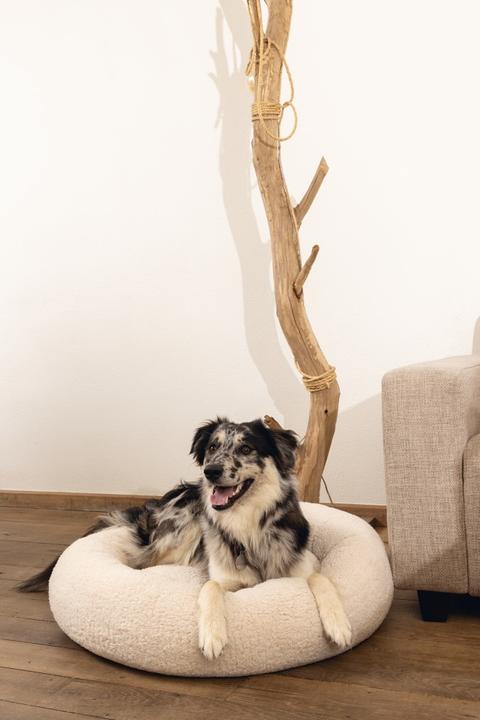 Immagine prodotto Beeztees Jaxx (Cane)