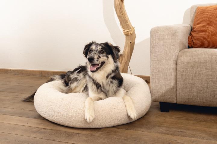 Immagine prodotto Beeztees Jaxx (Cane)