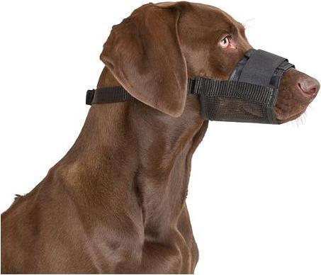 Produktbild Kerbl Maulkorb (XL, Hund, Hundesport)