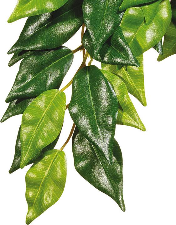 Exo Terra Jungle Plant Fikus M