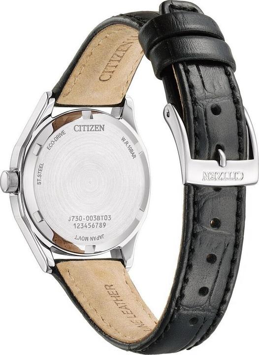 Immagine prodotto Citizen Eco-Drive FE2110-14E -rannekello (Orologio da polso analogico, 32 mm)
