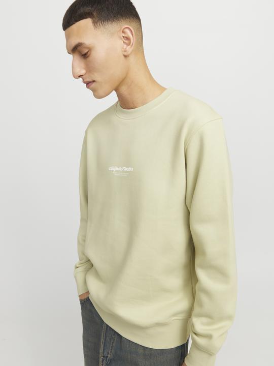 Actual product image Jack & Jones Jorvesterbro Sweat Crew Neck Noos (XL)