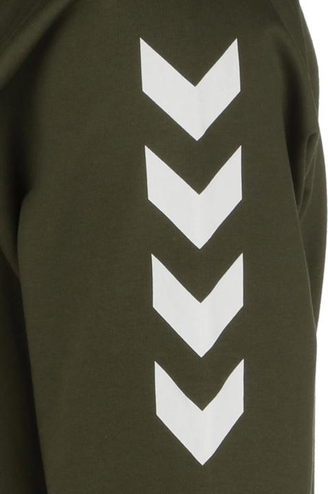 Produktbild hummel hmlGO Cotton Kapuzenpullover Herren (S)