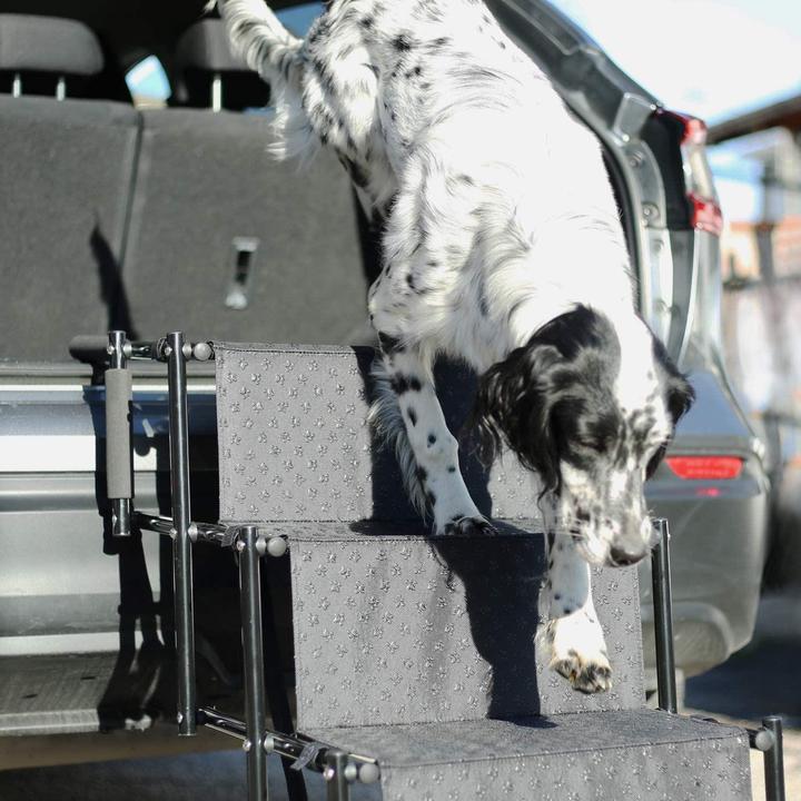 Produktbild Esmée Hundetreppe (Hund, Faltbar)