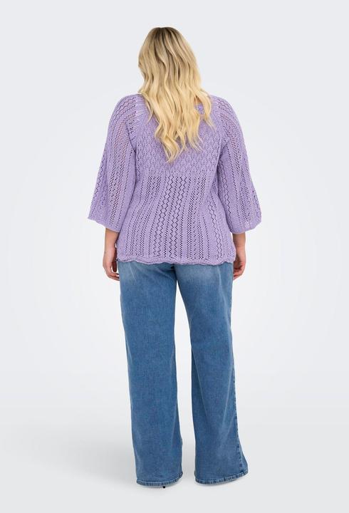 Actual product image Only Regular fit round neck plus pullover knitted jumper (XL)