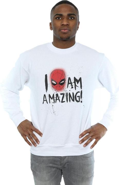 Image du produit - Sweat SPIDER-MAN AM AMAZING - Homme (S)