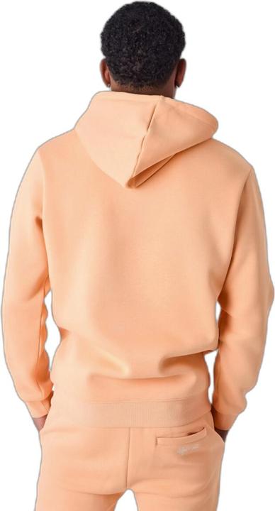 Actual product image Project X Paris essentials hoodie (M)