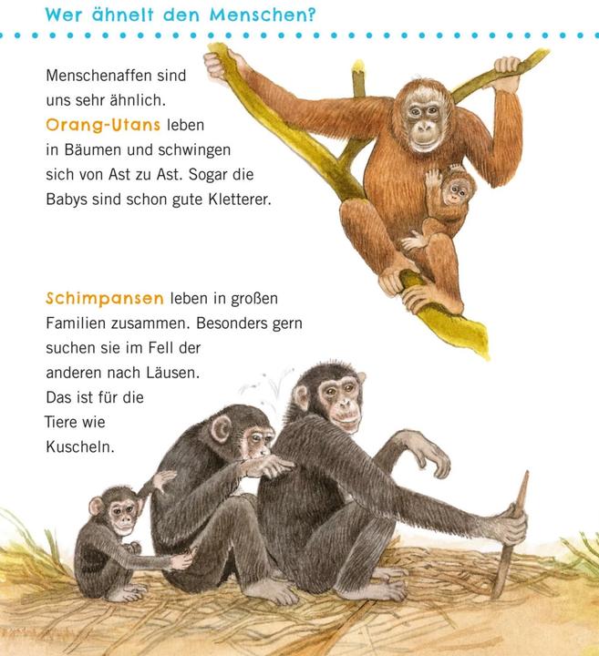 Produktbild Unkaputtbar: Erstes Wissen: Grosse Tiere (Deutsch, Petra Klose, 2021)