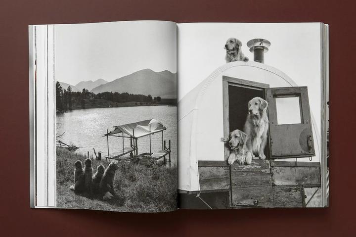Produktbild Bruce Weber. The Golden Retriever Photographic Society (Deutsch, Französisch, Englisch, Jane Goodall, 2021)