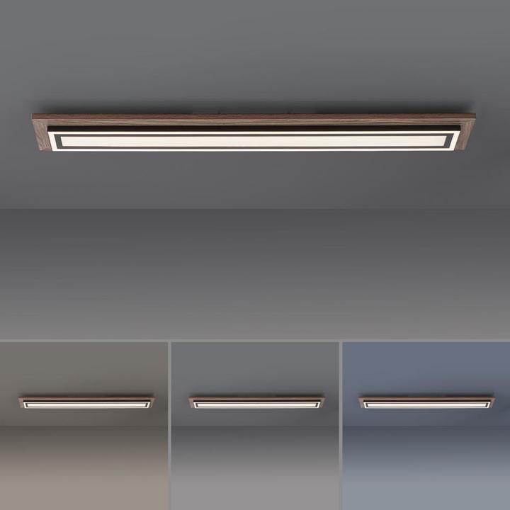 Produktbild Paul Neuhaus Palma (1500 lm)