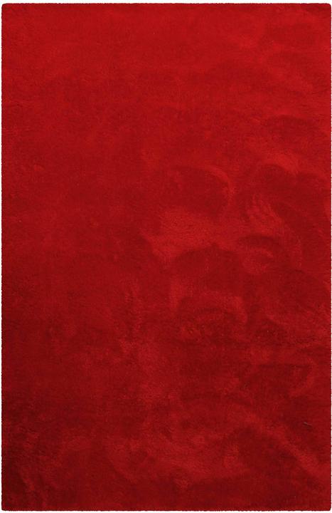 Rot