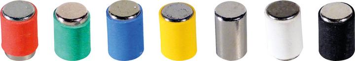 Image du produit BoOffice Aimants MagPin (12 x)