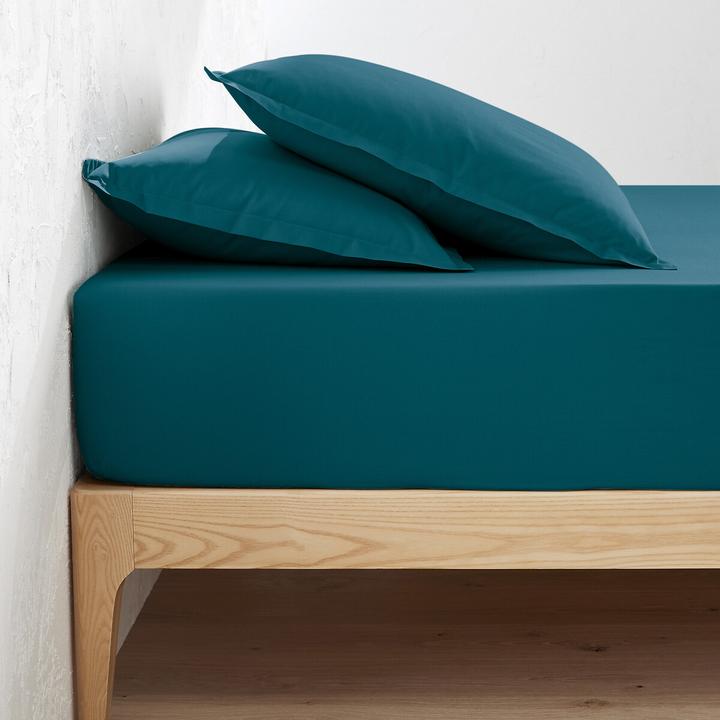 Blu porcellana