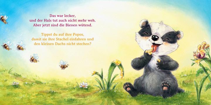 Produktbild Wer ist hier ein Frechdachs? (Deutsch)