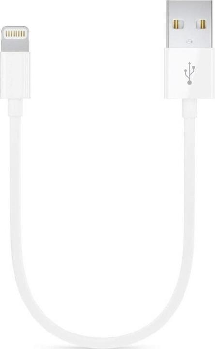 Immagine prodotto PowerGuard USB A — Lightning (0.15 m, USB 3.2 Gen 1)