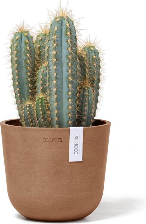 Produktbild Ecopots Oslo Mini (16 cm)