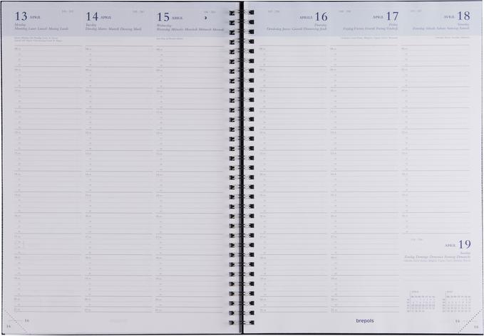 Actual product image Brepols Omega (A4, German, French, English, Dutch)