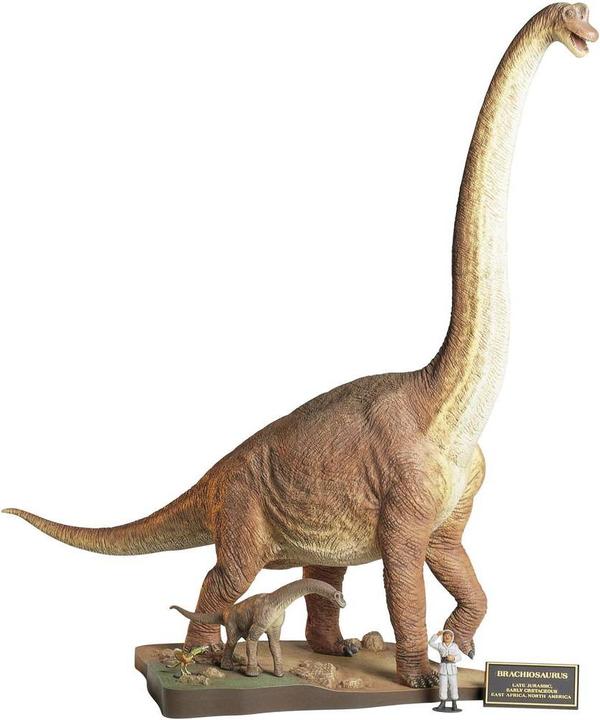 Produktbild Tamiya 300060106 Brachiosaure Dinosau