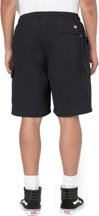 Actual product image Dickies Jackson Cargo Shorts (M)