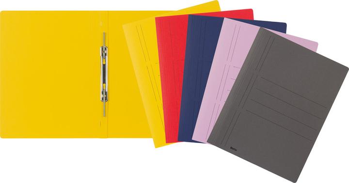Actual product image Biella Recycolor loose-leaf binder (A4, 1 x)