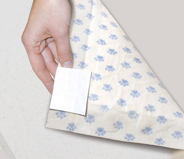 Actual product image Record Fragrant absorbent mat with angular adhesives, 60 x 60 cm, 10 pcs. (Dog)