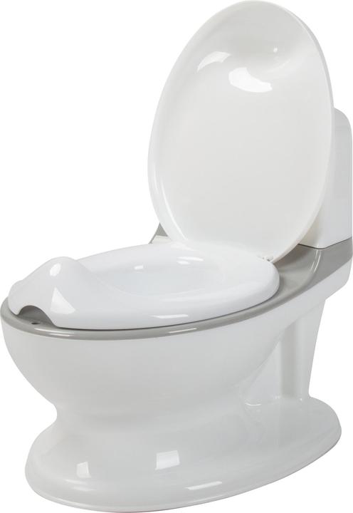 Actual product image Baby Dan Children's potty with flushing sound