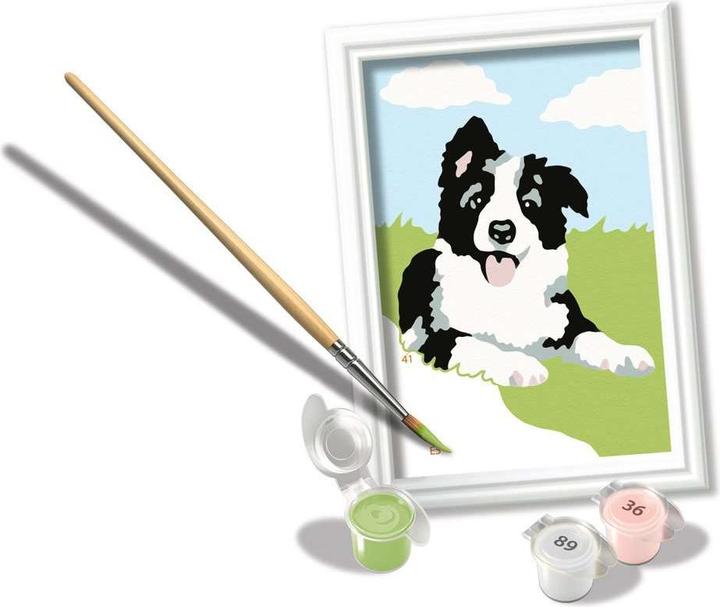 Actual product image Ravensburger Painting by numbers - Border Collie puppy