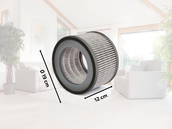 Image du produit Soehnle Ersatzfilter Airfresh Clean 300 (1 x)