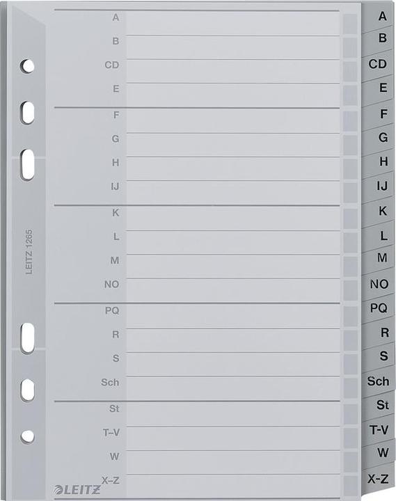 Produktbild Leitz Register PP