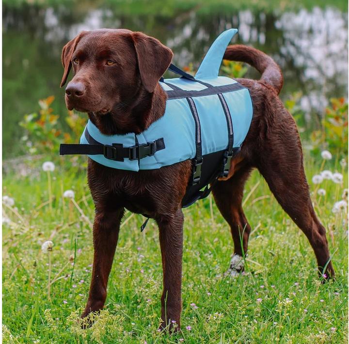 Actual product image Nobby Sharki (M, Dog life jacket)
