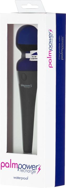 Produktbild Palmpower recharge