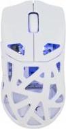 Actual product image White Shark Computer mouse GM-5019 Dagonet Wireless 24000 dpi White