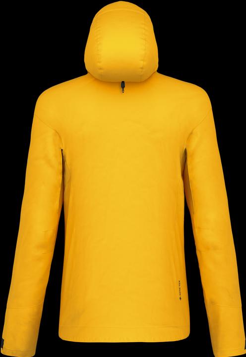 Image du produit Salewa Veste Ortles 3L GORE-TEX (W50/L30)
