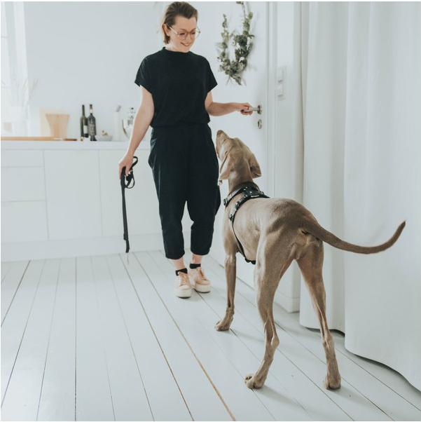 Actual product image Hunter Tableware Aalborg (2, Dog, General)