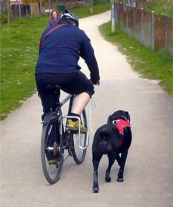 Actual product image Dogrunner Bike holder