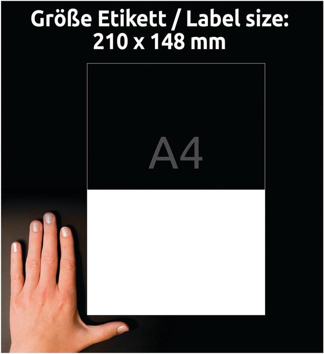 Image du produit Avery Labels universels