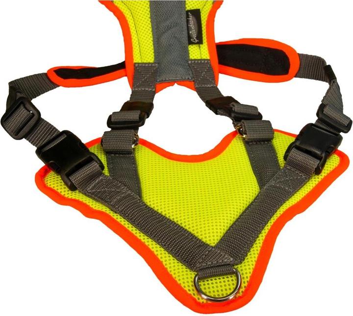 Actual product image Grossenbacher V-Mantrailing harness with reflector (XXS, Dog)