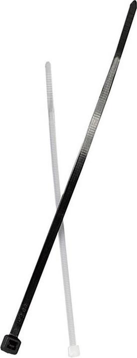 Actual product image Fischer Cable ties BN (L x W) 760 mm x 8.8 mm Colour: Transparent 100 pcs. (Plastic cable ties, 760 mm, 100 pcs.)