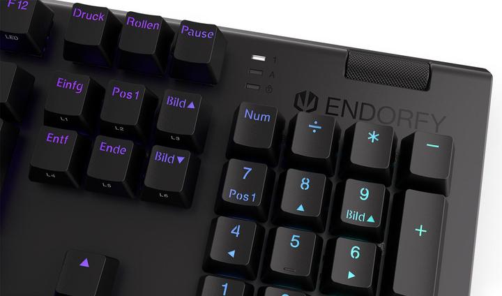 Actual product image Endorfy Keyboard Omnis (DE, Cable)
