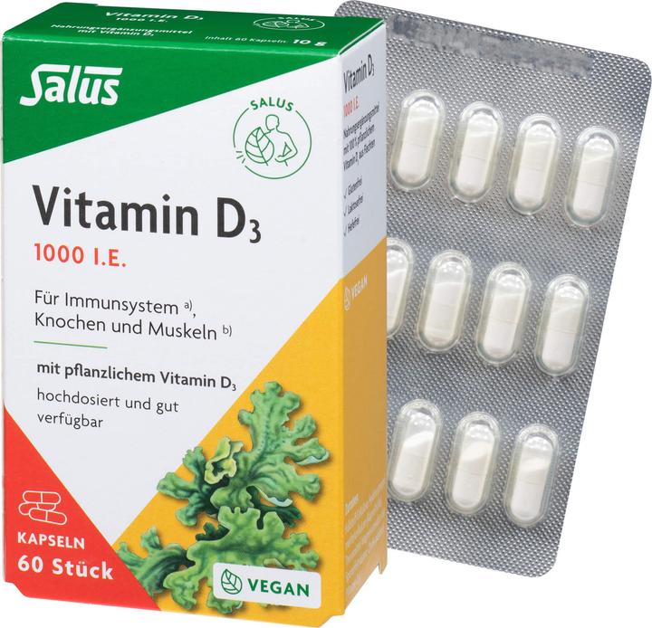 Produktbild Salus Vitamin D3 1000 Vital Kapseln (60 Stück, Kapseln, 32 g)