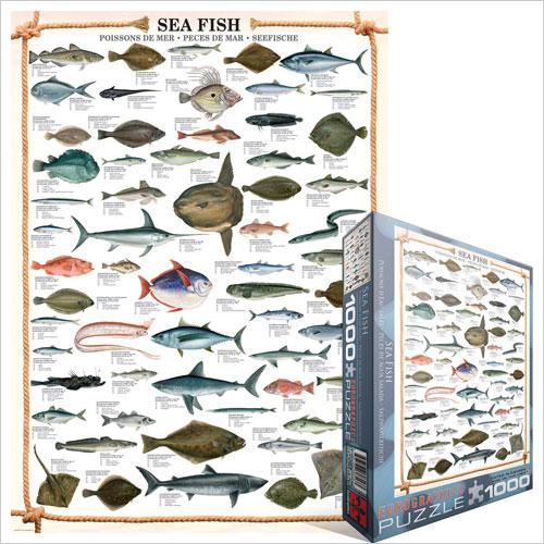 Produktbild Eurographics Seefische (1000 Teile)