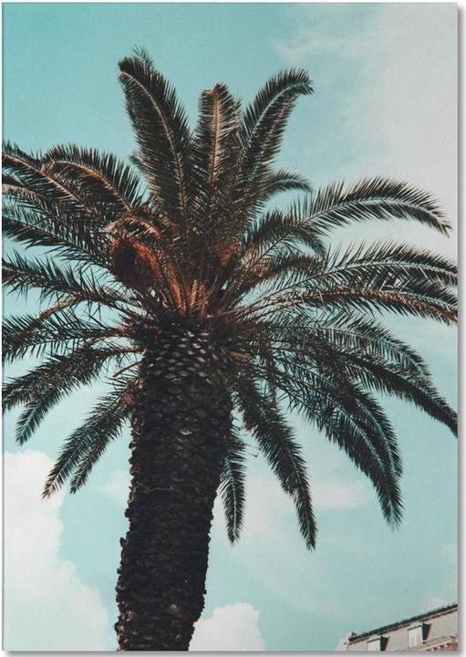 Actual product image Juniqe Paradise - Palms (A5, Plain)
