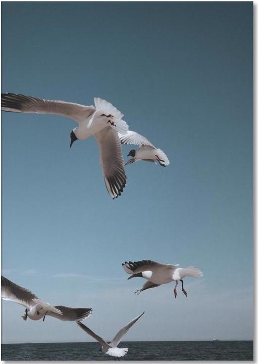 Actual product image Juniqe Seagulls II - Seagulls (A5, Dotted)