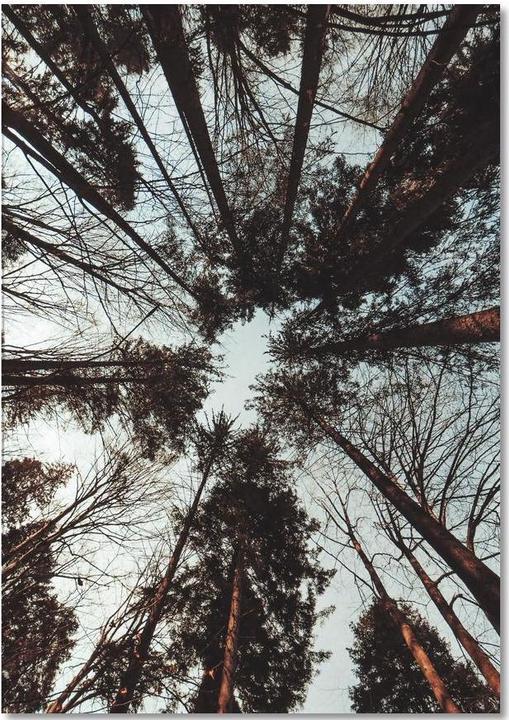 Immagine prodotto Juniqe Look Up - Paesaggi astratti (A5, Righe)
