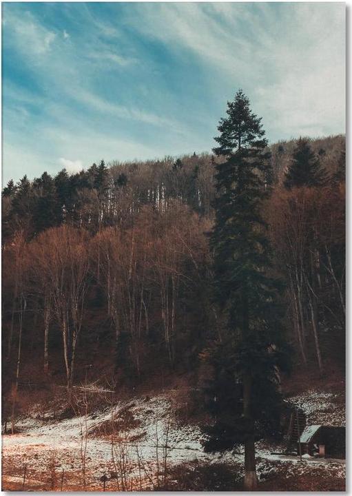 Image du produit Juniqe At The The Edge Of The Woods - Paysages abstraits (A5, Pointillés)